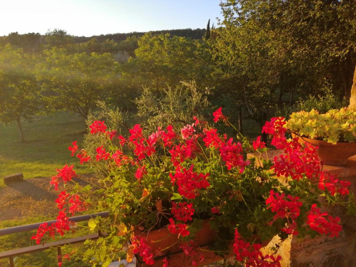 Agriturismo Sommassa Greve in Chianti Eksteriør billede